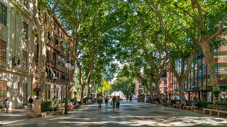 paseo del borne en palma de mallorca amic hotels paseo del borne amic hotels palma de mallorca