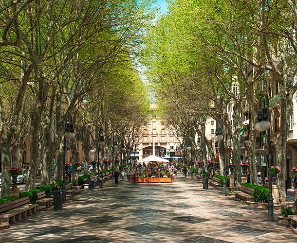 gastronomie amic hotels mallorca gastronomische Erfahrung amic hotels