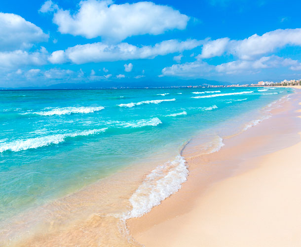 experiences a la plage de palma amic hotels