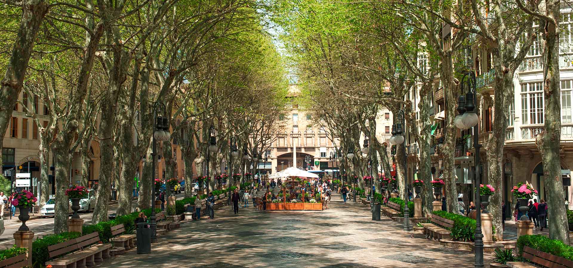 palma gastronomy amic hotels 